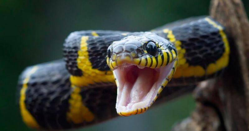 Yetuk ayollar anal porno onlayn